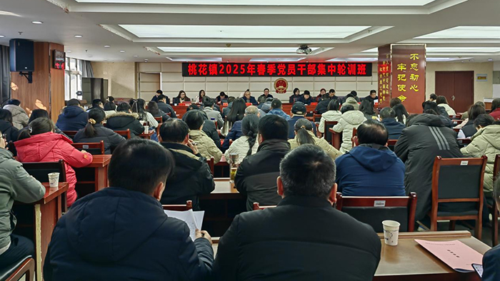 图片 1x.jpg